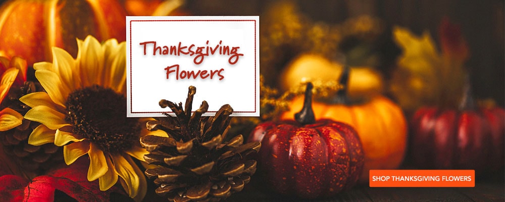 Thanksgiving Flowers - Send Thanksgiving flowers to Nashville, TN